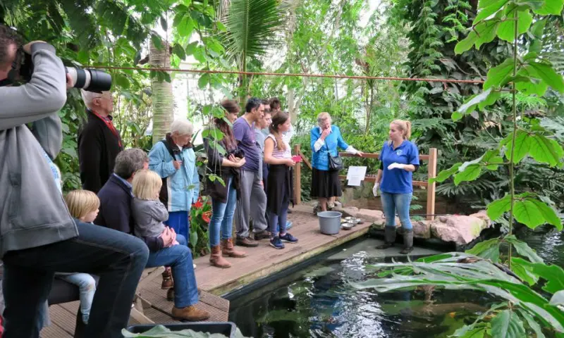 Rondleiding door vlindertuin