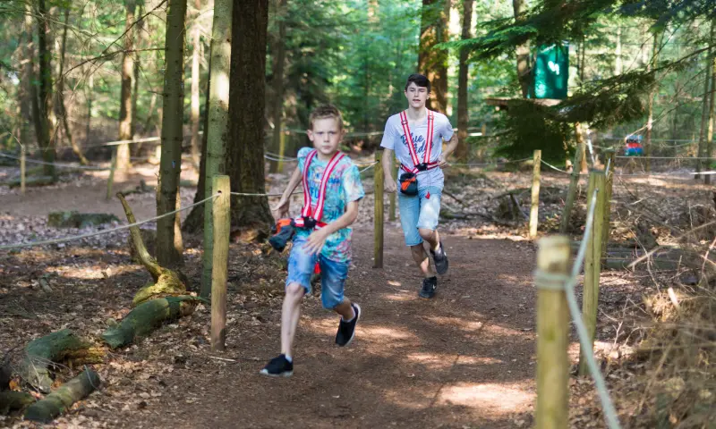 Kinderen Spelen in het Bos