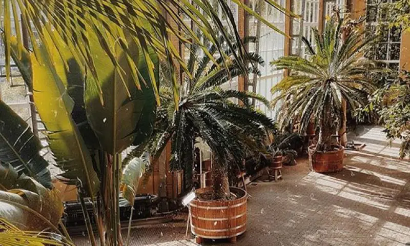 Binnenkant Botanische tuin
