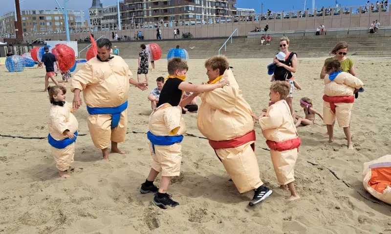 Actief Sumo worstelen