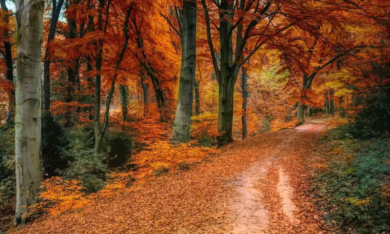 Wandelroute met kleuren