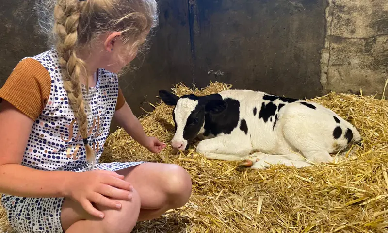 Koeien voeren tijdens escape room