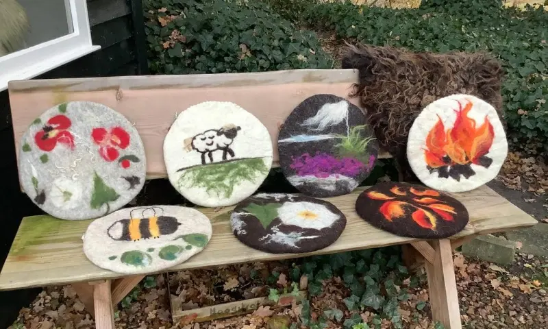 Workshop kussen vilten Dwingelderveld