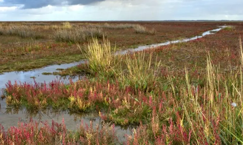 Zeebodemwandeling - November Wandelmaand