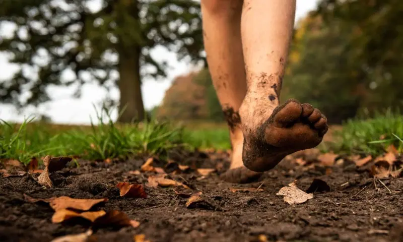 OERRR Wilde Buitendag 's-Graveland