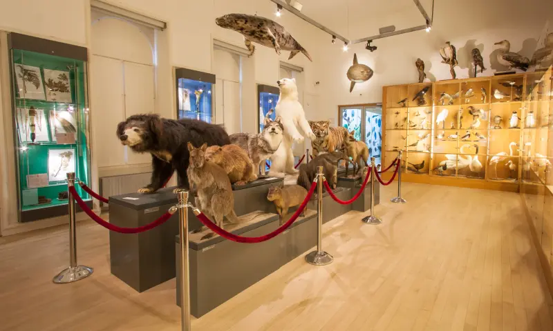 Binnen in het museum