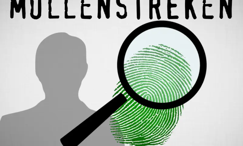 Mollenstreken Mol Spel