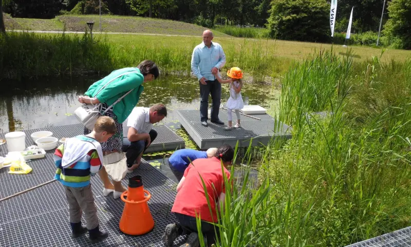 Speeltuin in het park