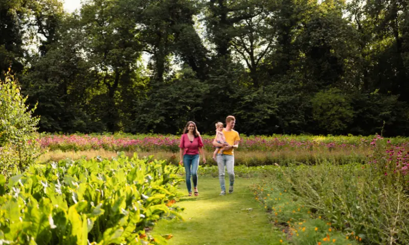Wandelen in tuinen