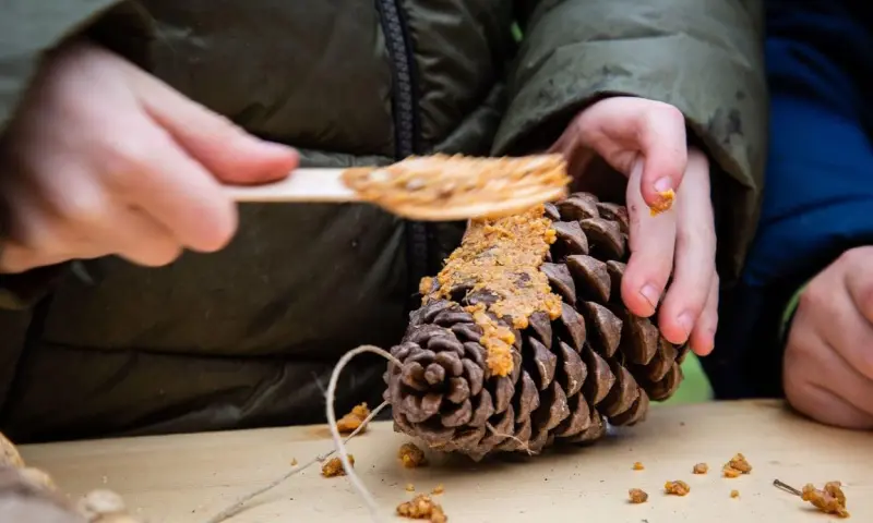 Vette Vogel Snackbar op Schiermonnikoog