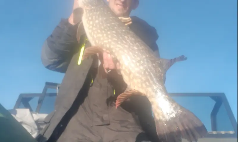 Mooie vangst op de boot