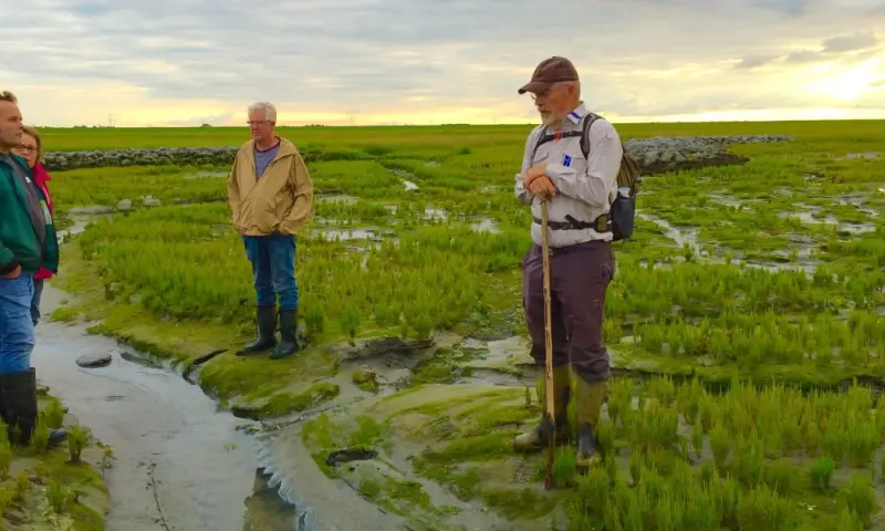 Avontuurlijke natuurtocht door Het Verdronken Land van Zuid-Beveland