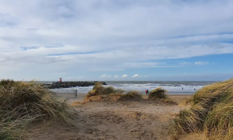 Duinen in Scheveningen