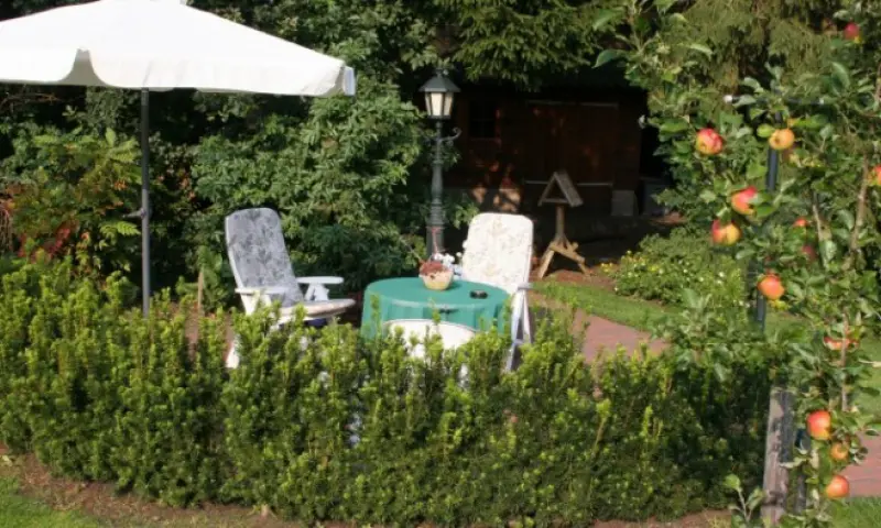 Tuin