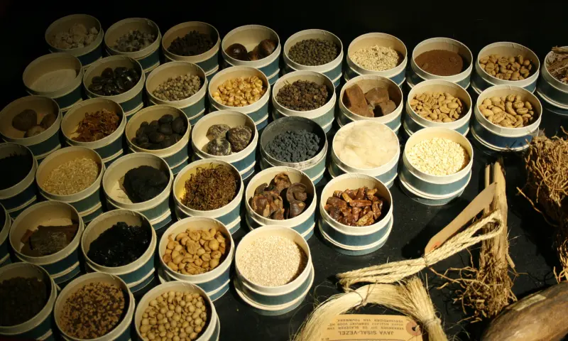 Kruiden van het verleden