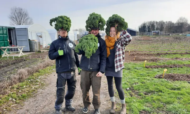 Allereerste plantjesmarkt tuinderij