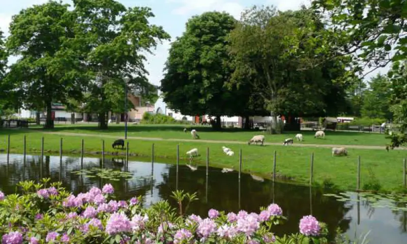 Kinderboerderij