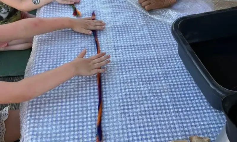 OERRR schapendag - nat vilten met gekleurde wol