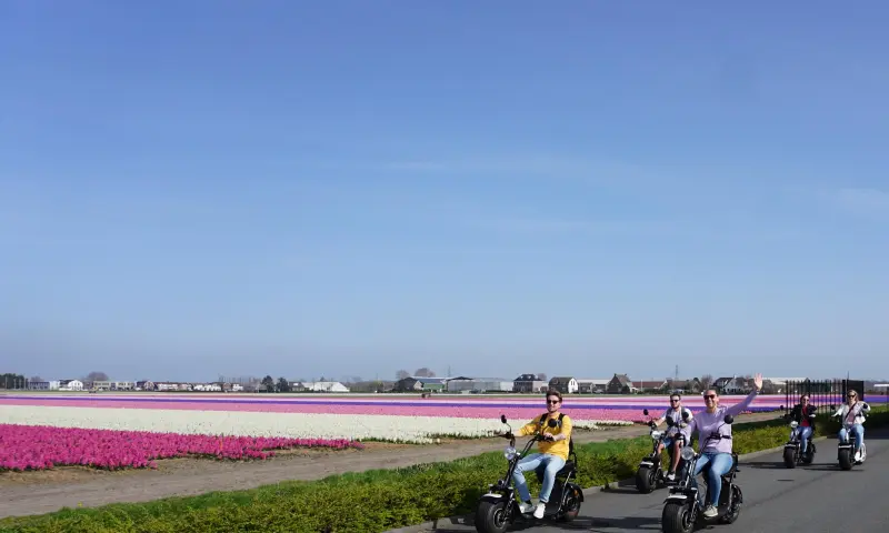 Bloemenvelden met e-choppers