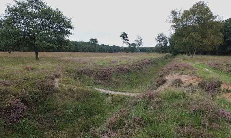 Fietsexcursie rond het Noordlaarderbos en Vijftig Bunder