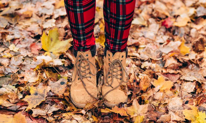 Italiaans genieten op de Veluwe