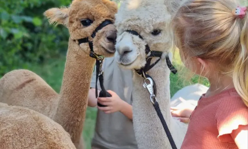 Geniet samen (met het gezin) van een heerlijke wandeling!