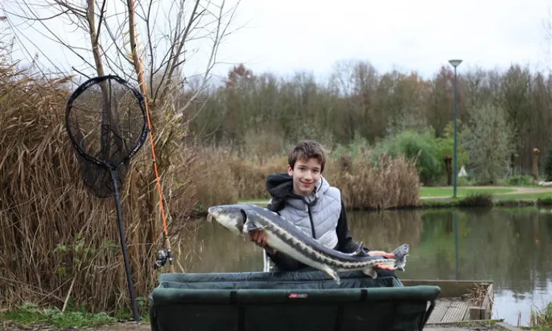 Steurvissen bij Toms Creek