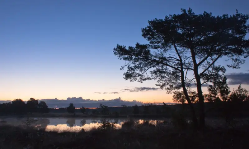 Ochtendwandeling op het Dwingelderveld