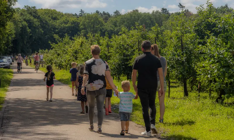Een gezellig uitje voor alle leeftijden.
