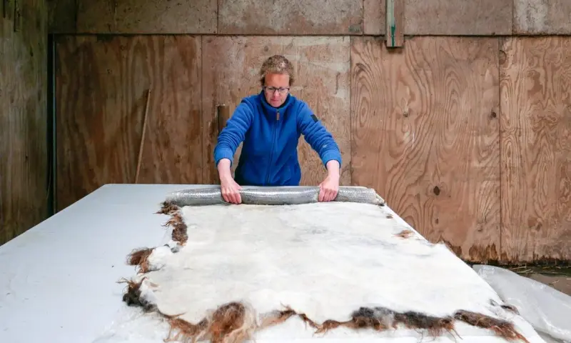 Workshop vachtvilten op De Onlanderij