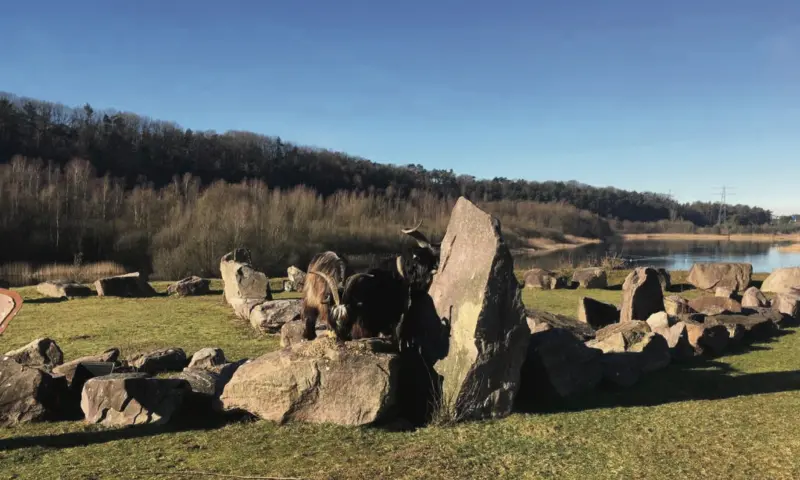 Zwerfsteneneiland Maarn