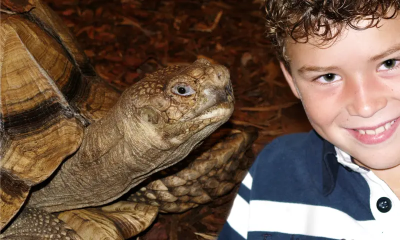 Kind met schildpad