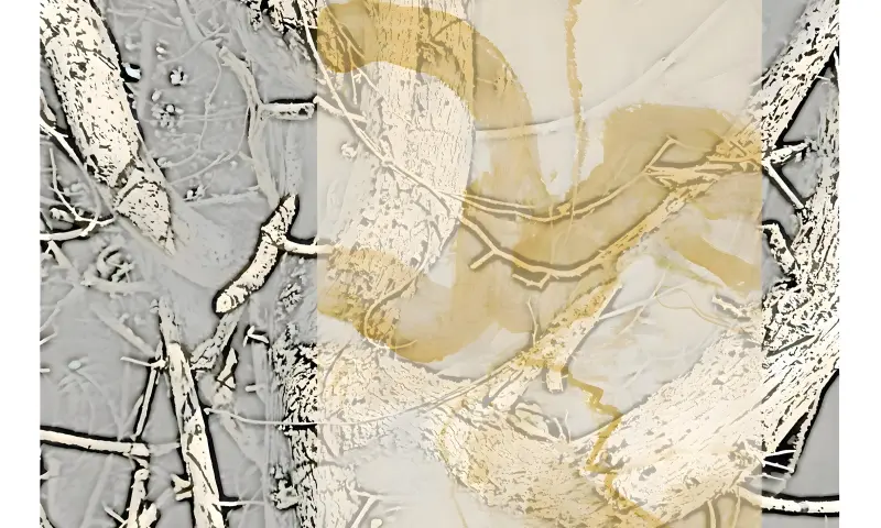 werk van Grady van den Bosch