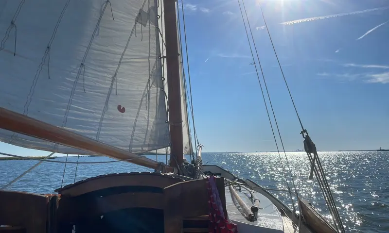 Zeeschouw groene Kikker onder zeil in de zon