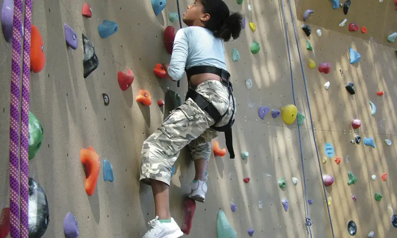 Klimmen en klauteren