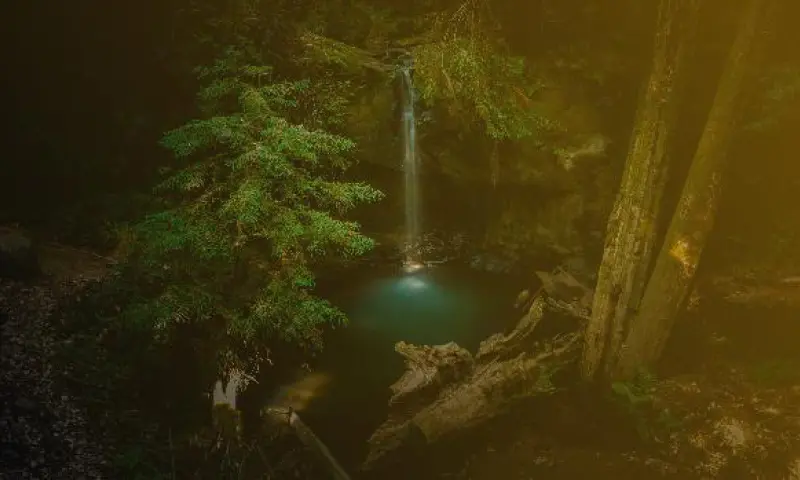 Ontsnappen uit de escape room