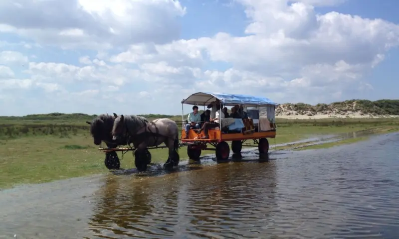 Huifkartocht op Schiermonnikoog
