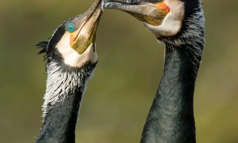 Wandelexcursie Liefde voor het Landschap