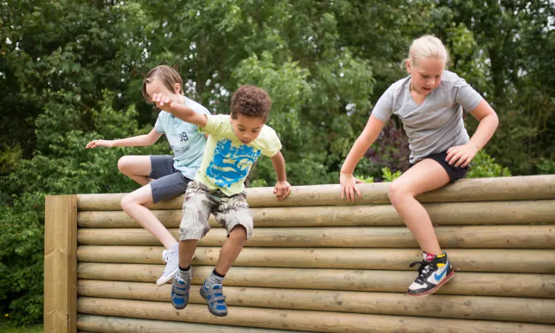 Klimmen en klauteren