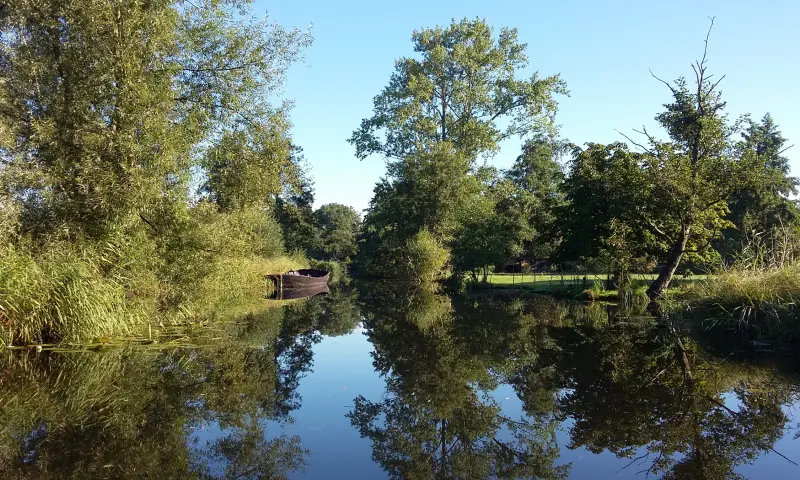 Uitje in de natuur