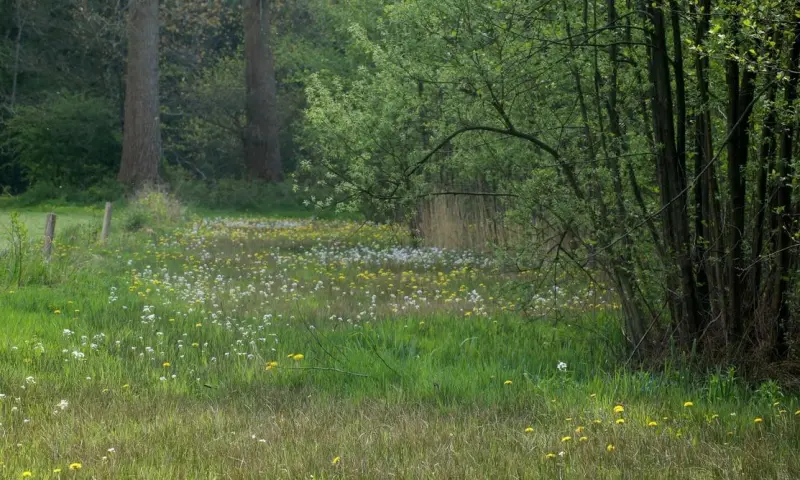 Zwerftocht: Langs beek en stuifduinen in de Veluwezoom