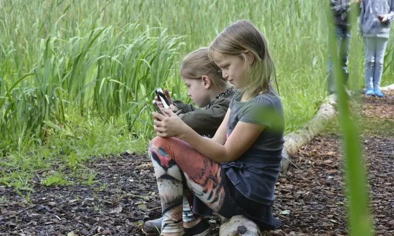 OERRR (8 t/m 12 jaar) Fotograferen met smartphone in de natuur - Veluwezoom