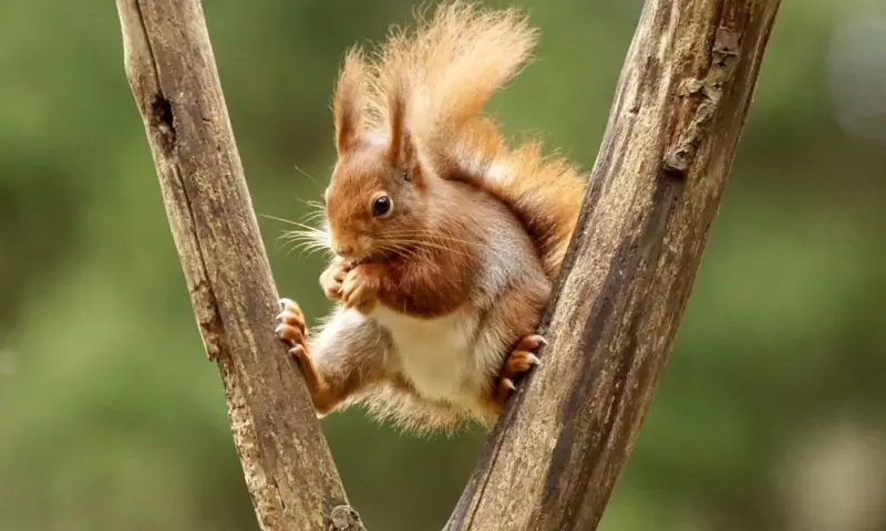 Met de gids op stap in April