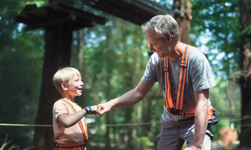 Moon Trees Challenge