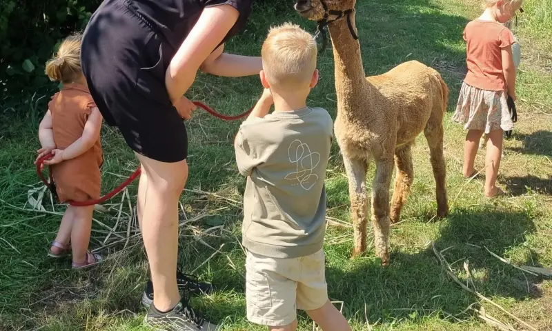 Echt leuk voor de kinderen!