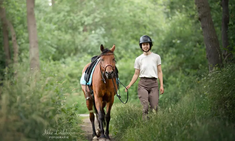Paarden, natuur, rust