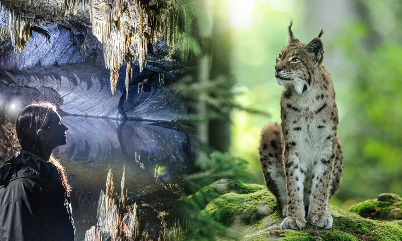 Een magische Grot en het grootste dierenpark van België!