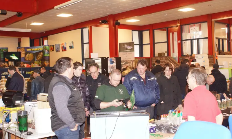 zomaar een overzicht