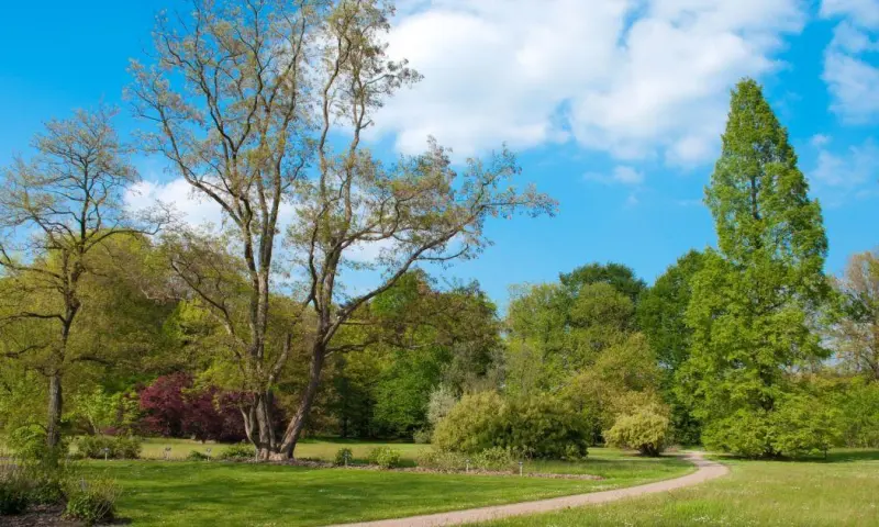 Wandelen met gids arboretum Poort Bulten