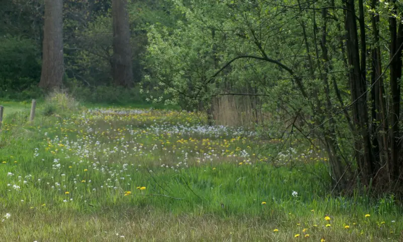 Zwerven over de Veluwezoom  Soerensebeek en Schaddevelden